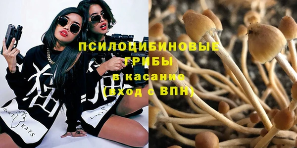 гашик Алзамай