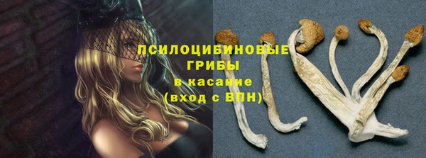гашик Алзамай