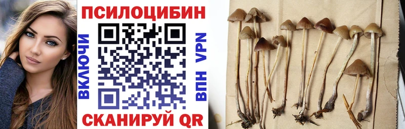 Псилоцибиновые грибы мухоморы  Киселёвск 